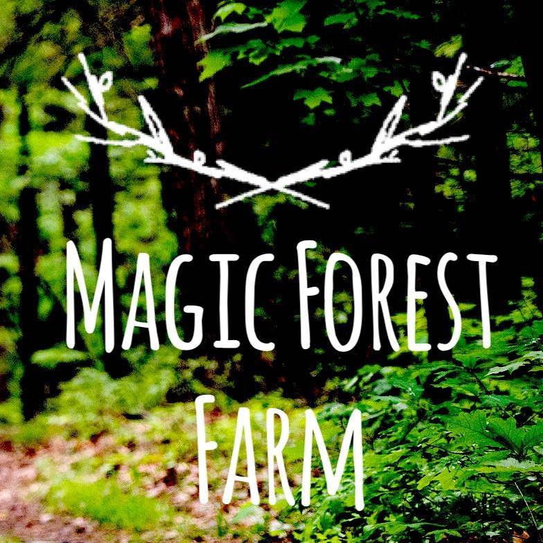 Magic Forest Farm