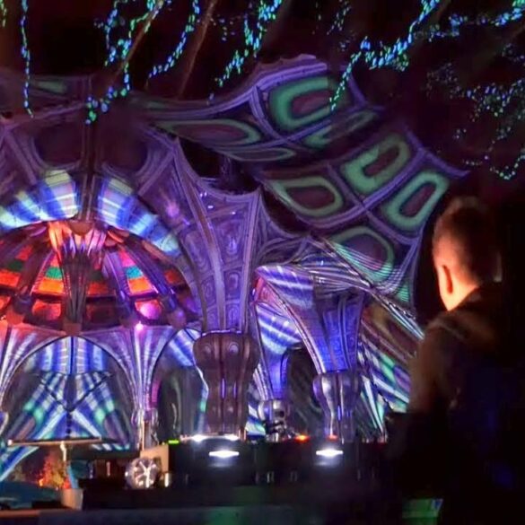 Ace Ventura @ Psy-Fi Festival 2019 [full set movie] - NYCRavers