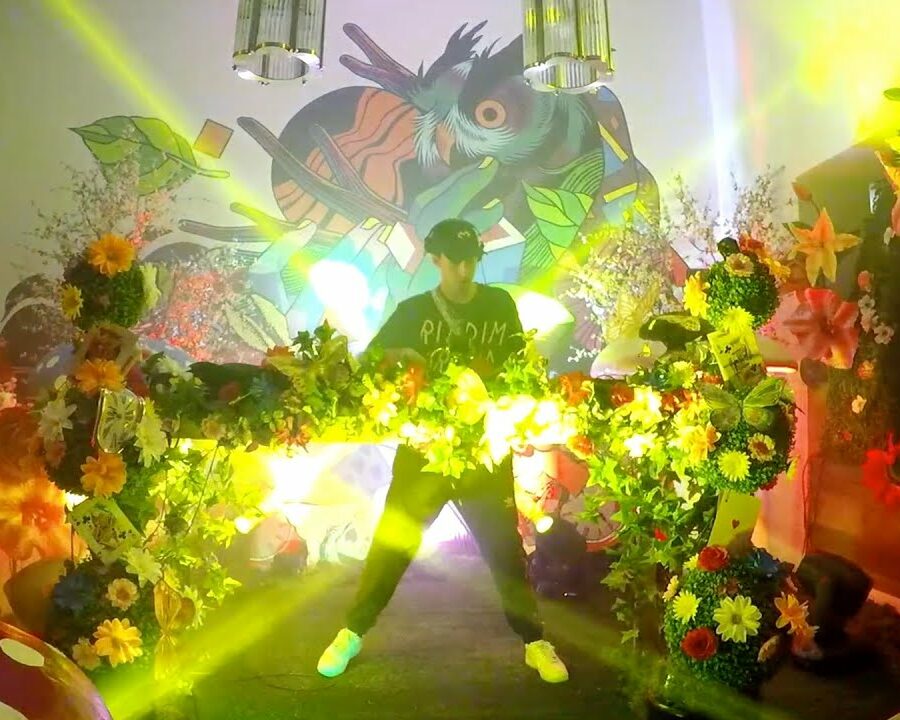 MONXX - Beyond Wonderland Virtual Rave-A-Thon