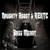 REXTC N Naughty Robot - Bass Meant