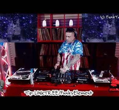 (WATCH) DANK - Funky Element Radio 42 w/ Bad Boy Bill - 8/6/20