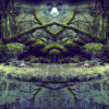 △ Dryad △ : Into The Swamp Of Trolls (Visionary Shamanics Radio Show Mix) - (Psytrance Thursdays)