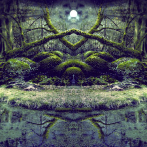 △ Dryad △ : Into The Swamp Of Trolls (Visionary Shamanics Radio Show Mix) - (Psytrance Thursdays)
