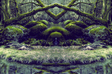 △ Dryad △ : Into The Swamp Of Trolls (Visionary Shamanics Radio Show Mix) - (Psytrance Thursdays)