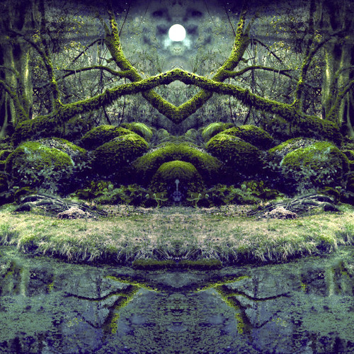 △ Dryad △ : Into The Swamp Of Trolls (Visionary Shamanics Radio Show Mix) - (Psytrance Thursdays)