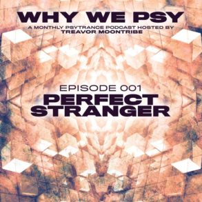 Perfect Stranger : Why We Psy - (Psytrance Thursdays)