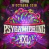 SynSUN : Live Set @ Psygathering XXL (retro fullon set) 06.10.2018