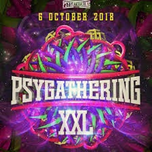 SynSUN : Live Set @ Psygathering XXL (retro fullon set) 06.10.2018