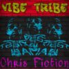 This Is Chris Fiction by Chris Fiction