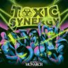 Toxic Synergy New Years MASSIVE Set by Bass Of Spades
