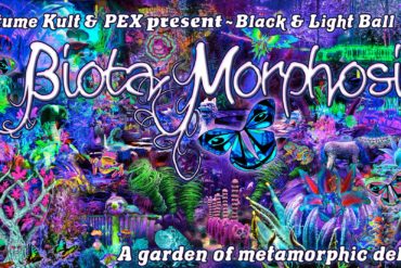 black and light ball 2019