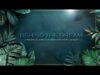 Behind the Dream: A Tropical Dreams Rave Music Festival Documentary - NYCRavers