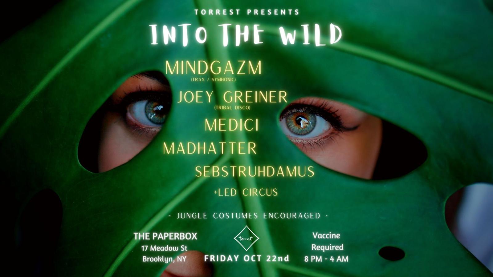 Into The Wild Into The Wild