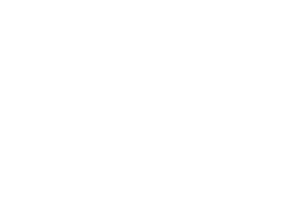 Leo NYCRavers